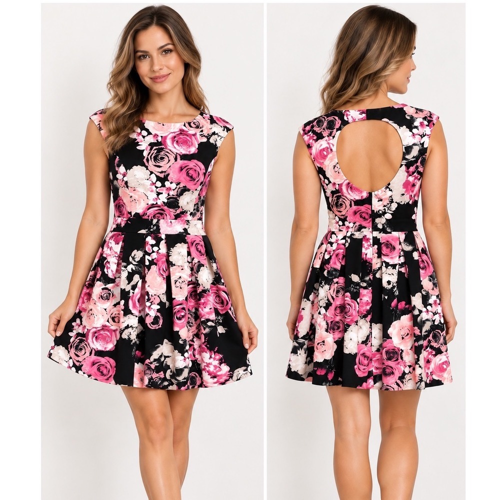Emerald Sundae Dress Small Pink Black Floral Rose Skater Fit Flare Keyhole Back
